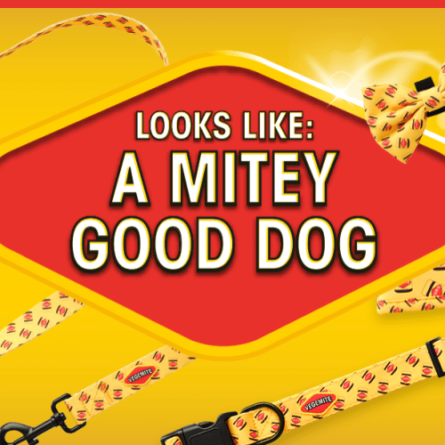 A MITEY New Dog Range From Vegemite!