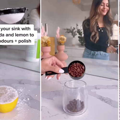 How To Make Your House Smell Beautiful WITHOUT Breaking The Bank!