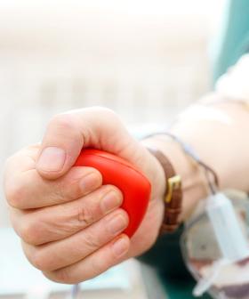 'Mad Cow' Blood Donation Ban Over After 22 Years. What Does This Mean?