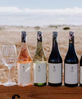 You Can Save The World By Drinking Wine So Call Me 'Captain Planet' Because I'm In!