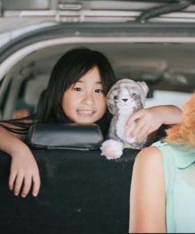 Accidental Kidnapping & Losing Your Kids In Public
