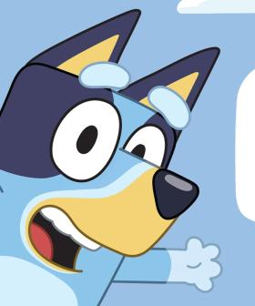 BLUEY! We Meet The Man Behind The Music - Joff Bush