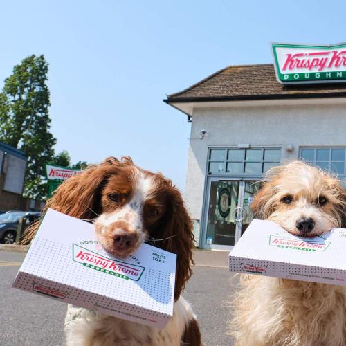 Krispy Kreme Doughnuts Have Released Dog Biscuits For Your Little Best Friend