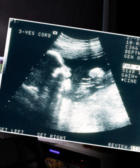Kip's Big News: HE'S HAVING A BABY!