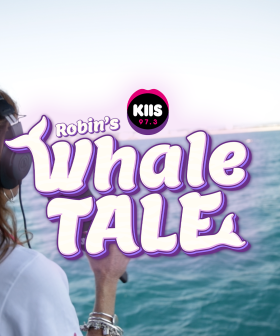 Robin's Whale Tale!